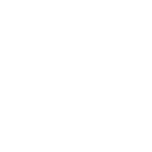 versão 15 horizontal branco sem fundo